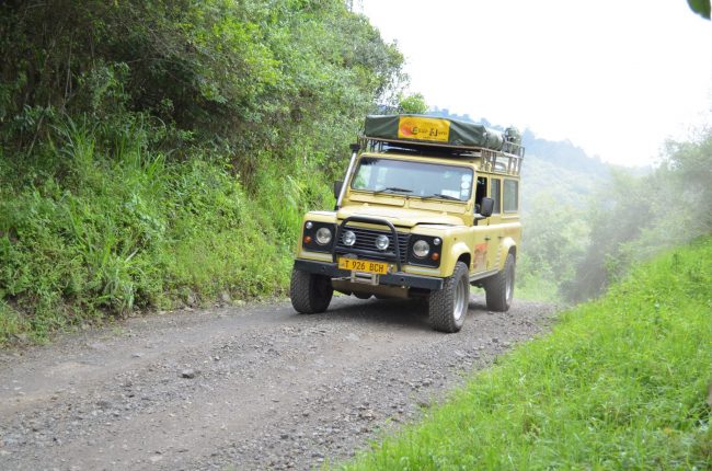 Self Drive Safaris - Africa