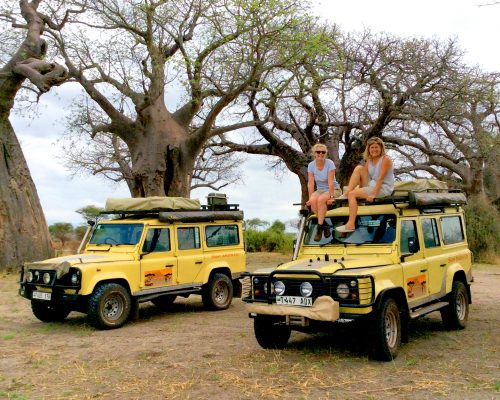 Camp and Lodge Safaris Tanzania