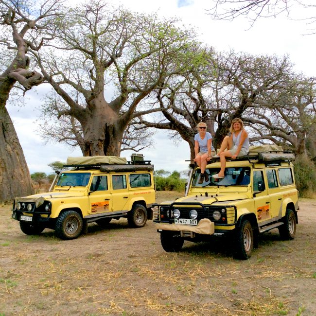 Camp and Lodge Safaris Tanzania