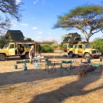 Safari Vehicles Setting up Camp