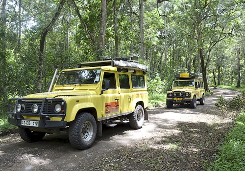 Self Drive Safaris Africa