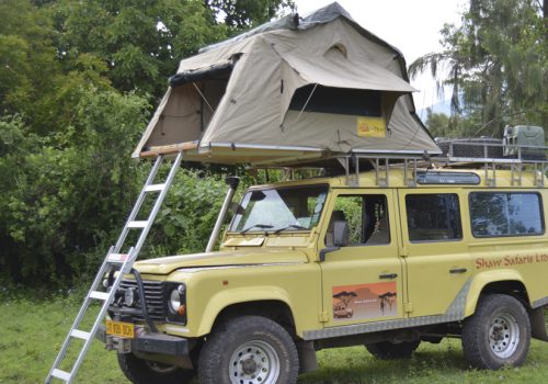 gallery 9 Safari Camping