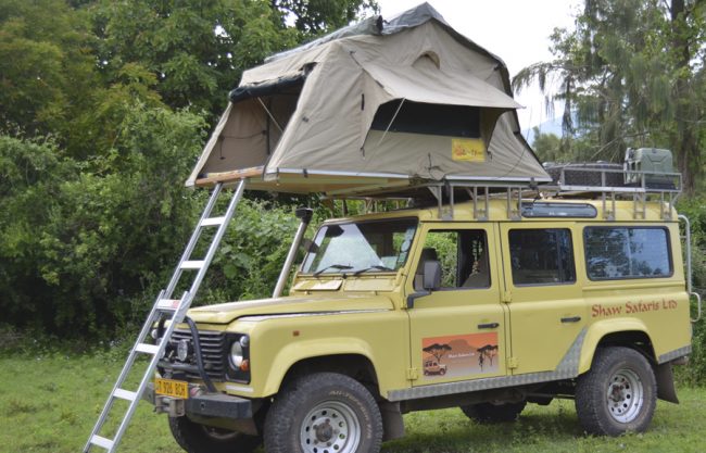 Safari Camping