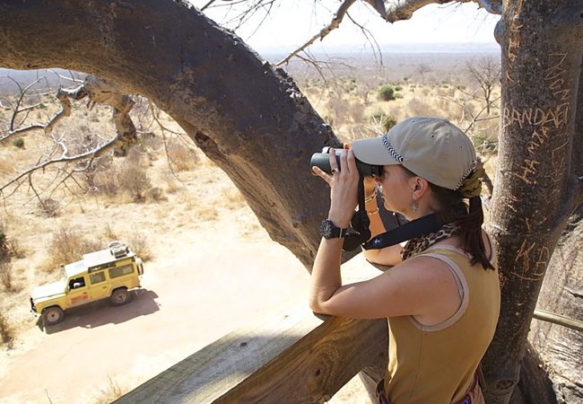 19baobablookout2 experience the real Africa