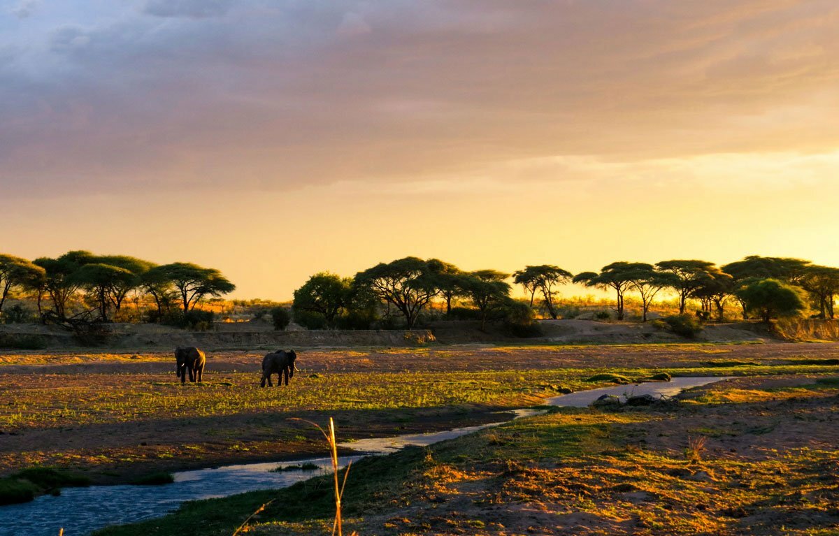 Ruaha_National_Park