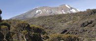 Kilimanjaro