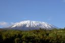 Kilimanjaro Safari