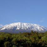 Kilimanjaro Safari