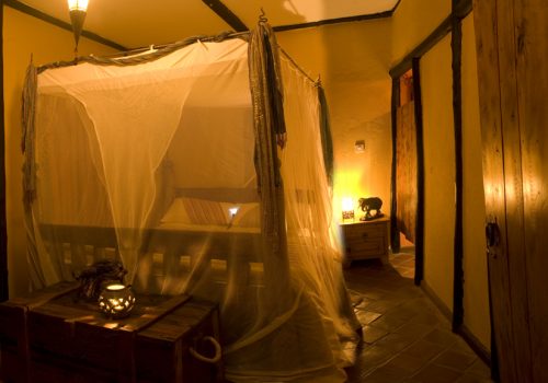 downstairs room downstairs room