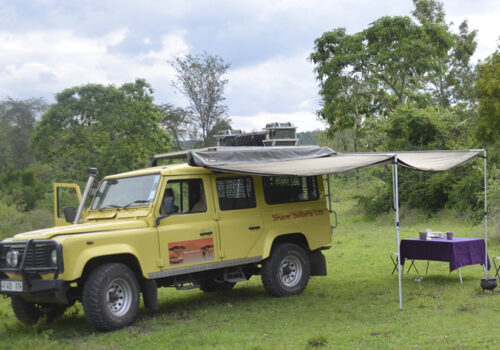 gallery 19 gallery 19