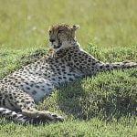 Serengeti National Park