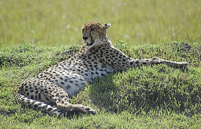 Serengeti National Park