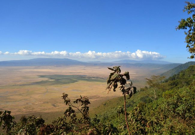 ngorongoro ngorongoro