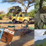 safaris, giraffe, elephants, magazines, camp site