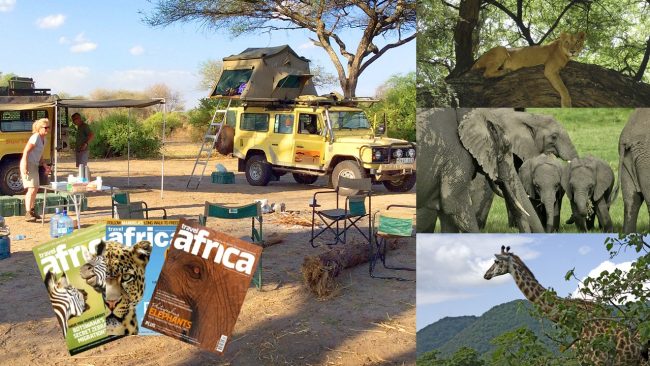 Safari blog safaris, giraffe, elephants, magazines, camp site