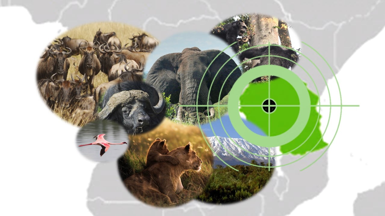expansion blog map, africa, wild animals, elephant,lion, monkey