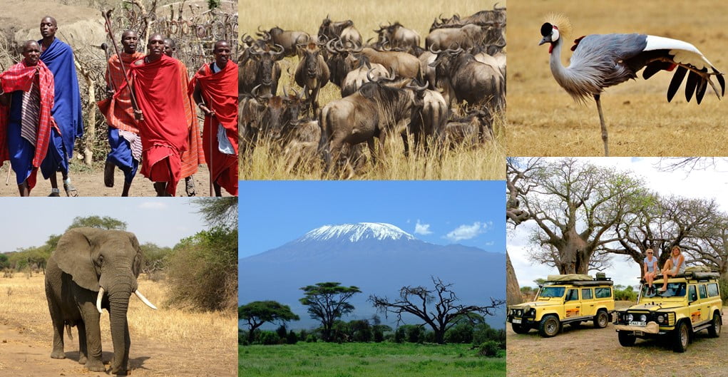 on camera blog tanzania, masaai, mountain, tribe, elephant, bird, wilderbeest, land rover, safari