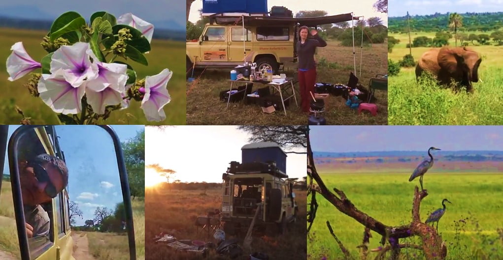 House on 4×4 wheels