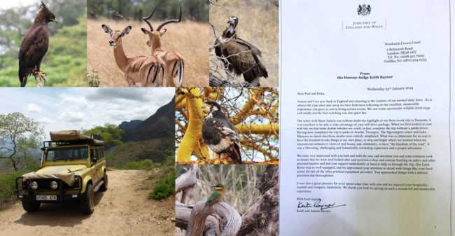 High Praise bird, tree, bramches,land rover, safari, antelope, buzzard, self drive