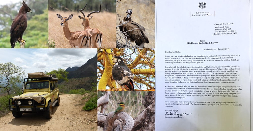 bird, tree, bramches,land rover, safari, antelope, buzzard, self drive